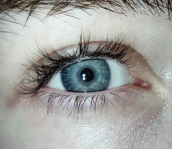 Primer plano de un ojo con pestañas (foto ilustrativa)